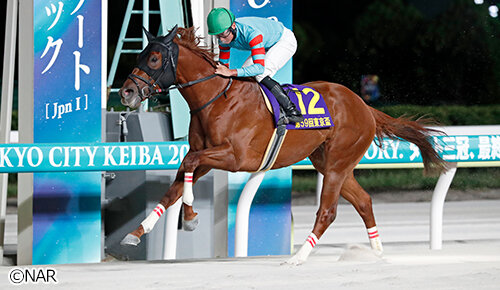グリーンチャンネル地方競馬中継