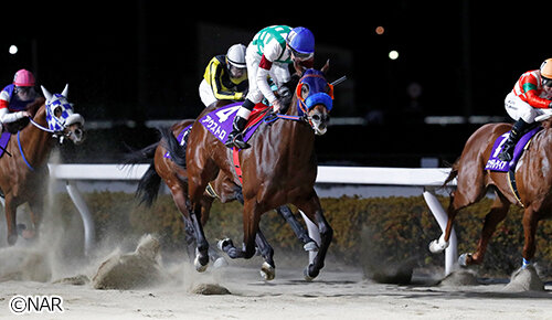 グリーンチャンネル地方競馬中継
