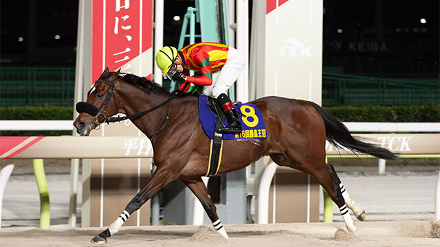 グリーンチャンネル地方競馬中継