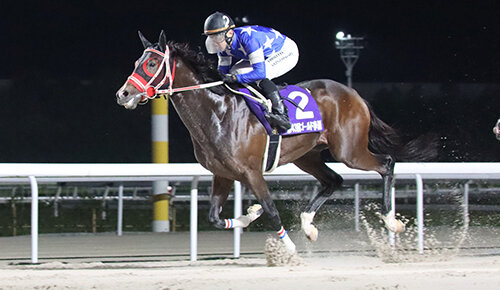 グリーンチャンネル地方競馬中継