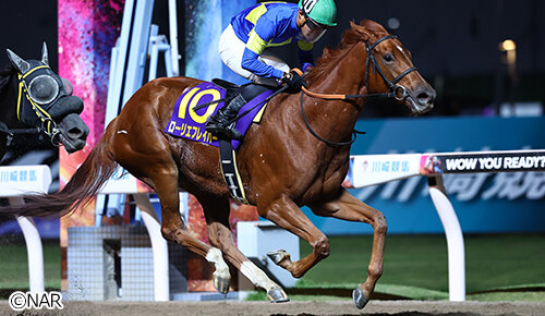 グリーンチャンネル地方競馬中継
