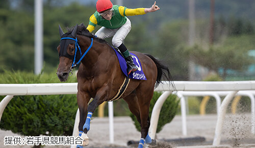 グリーンチャンネル地方競馬中継