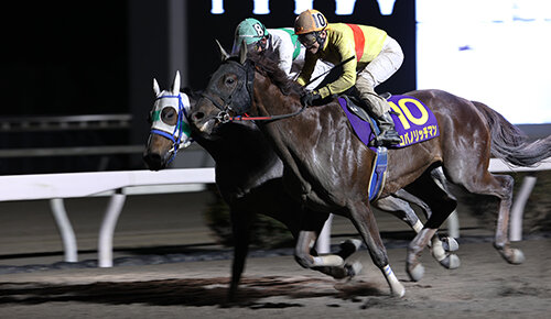 グリーンチャンネル地方競馬中継