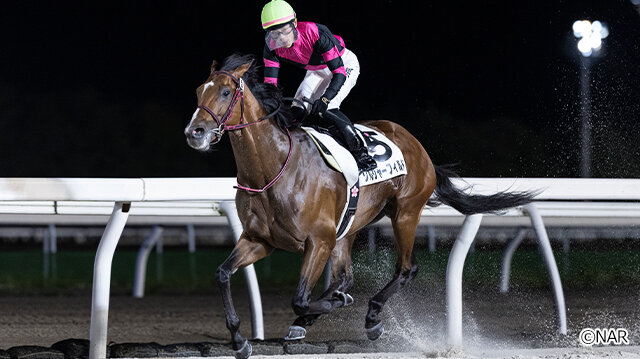 グリーンチャンネル地方競馬中継