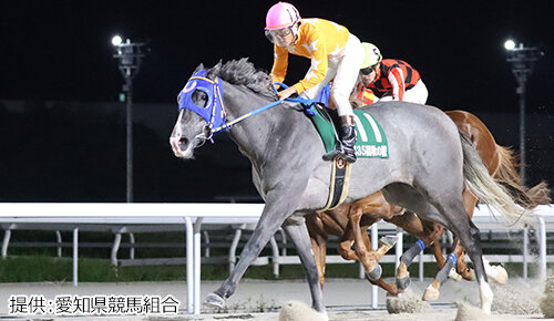 グリーンチャンネル地方競馬中継