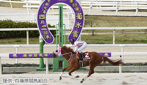 グリーンチャンネル地方競馬中継