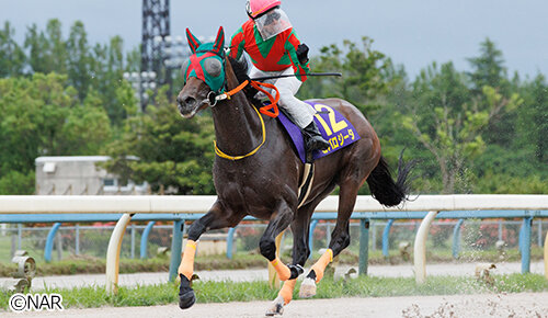 グリーンチャンネル地方競馬中継
