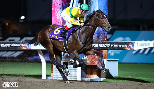 グリーンチャンネル地方競馬中継