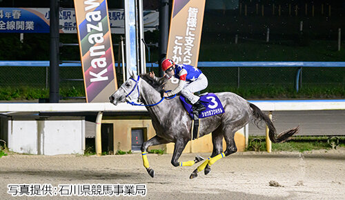 グリーンチャンネル地方競馬中継