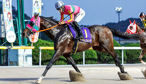 グリーンチャンネル地方競馬中継