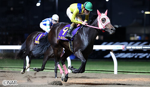 グリーンチャンネル地方競馬中継