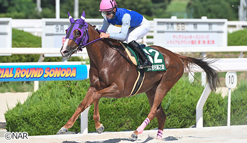 グリーンチャンネル地方競馬中継