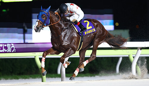 グリーンチャンネル地方競馬中継