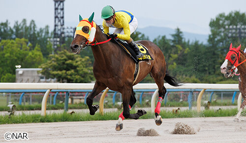 グリーンチャンネル地方競馬中継
