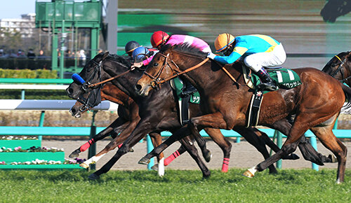 今日のレースリプレイ/今週のレースリプレイ/先週のレースリプレイ