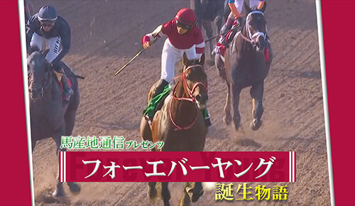 馬産地通信プレゼンツ～フォーエバーヤング誕生物語