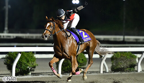 グリーンチャンネル地方競馬中継