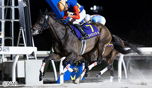 グリーンチャンネル地方競馬中継