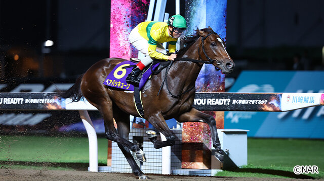 グリーンチャンネル地方競馬中継