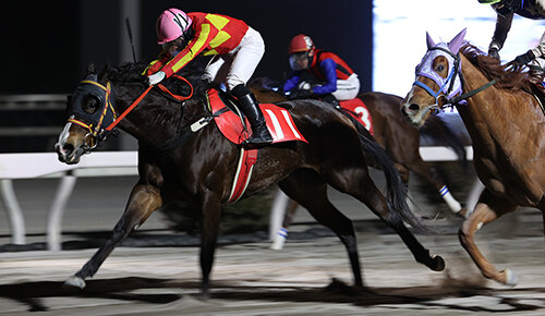 グリーンチャンネル地方競馬中継