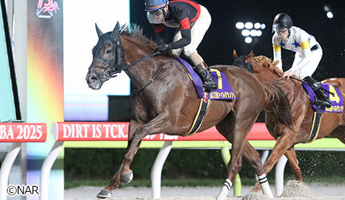 グリーンチャンネル地方競馬中継