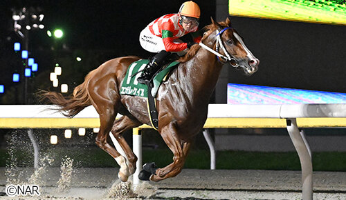 グリーンチャンネル地方競馬中継
