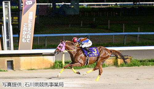 グリーンチャンネル地方競馬中継