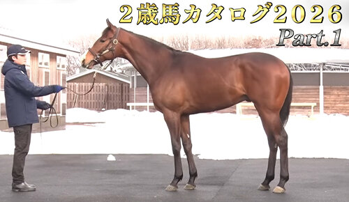 水曜馬スペ！２歳馬カタログ２０２６