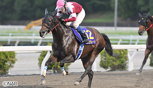 グリーンチャンネル地方競馬中継