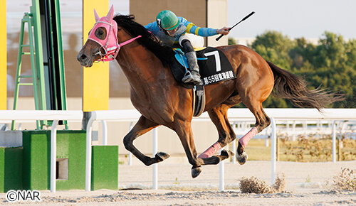 グリーンチャンネル地方競馬中継