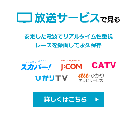 TVで見る