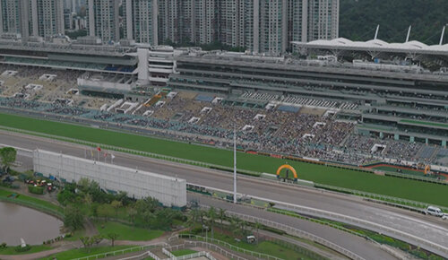 2025香港チャンピオンズデー中継