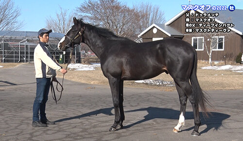 水曜馬スペ！２歳馬カタログ２０２５