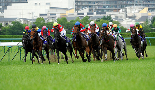 中央競馬全レース中継/中央競馬パドック中継