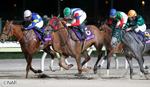 グリーンチャンネル地方競馬中継