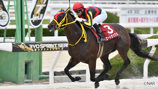 グリーンチャンネル地方競馬中継