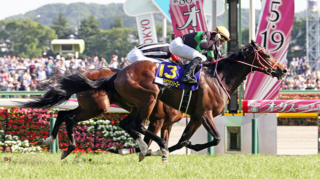 栄光の名馬たち　ラヴズオンリーユー