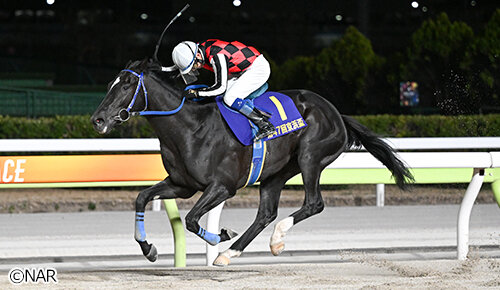 グリーンチャンネル地方競馬中継